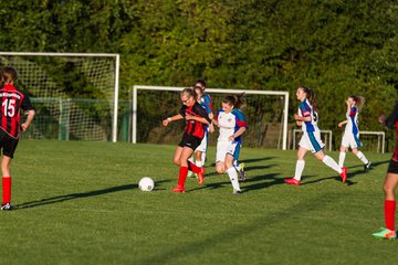 Bild 267 - B-Juniorinnen SG Wilstermarsch - SV Henstedt Ulzburg : Ergebnis: 5:1